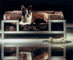 Philipp Plein on Turning a €1,500 Dog Bed Into a Fashion Empire